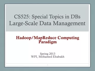 CS525: Special Topics in DBs Large-Scale Data Management
