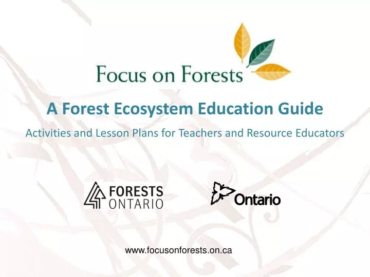 a forest ecosystem education guide activities