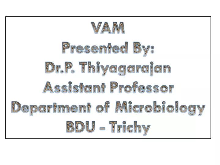 vam presented by dr p thiyagarajan assistant