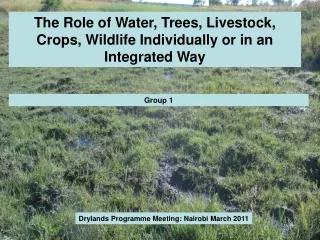 The Role of Water, Trees, Livestock, Crops, Wildlife Individually or in an Integrated Way