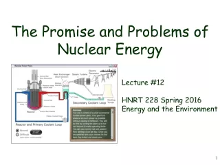 The Promise and Problems of Nuclear Energy