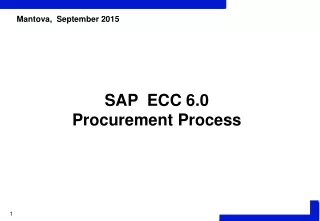 SAP  ECC 6.0 Procurement Process