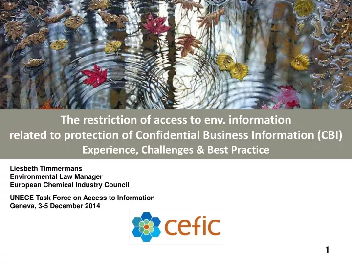the restriction of access to env information