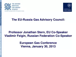 Professor Jonathan Stern, EU Co-Speaker Vladimir Feigin, Russian Federation Co-Speaker