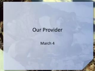 Our Provider