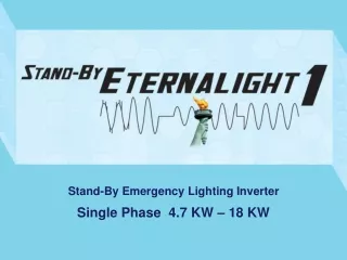 Stand-By Emergency Lighting Inverter