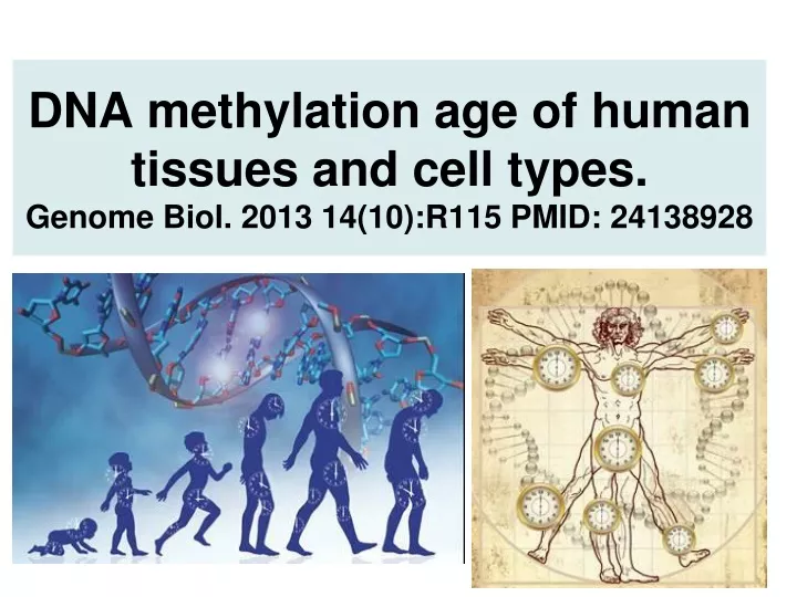 dna methylation age of human tissues and cell types genome biol 2013 14 10 r115 pmid 24138928