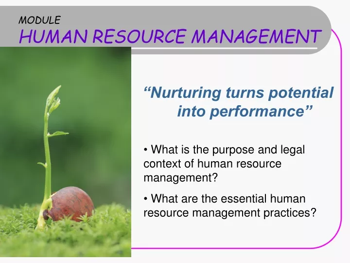 module human resource management