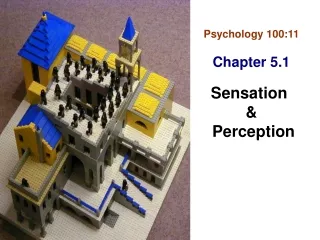 Psychology 100:11 Chapter 5.1 Sensation  &amp;  Perception