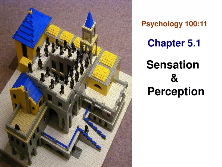 psychology 100 11 chapter 5 1 sensation perception