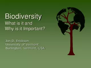 Biodiversity What is it and Why is it Important?