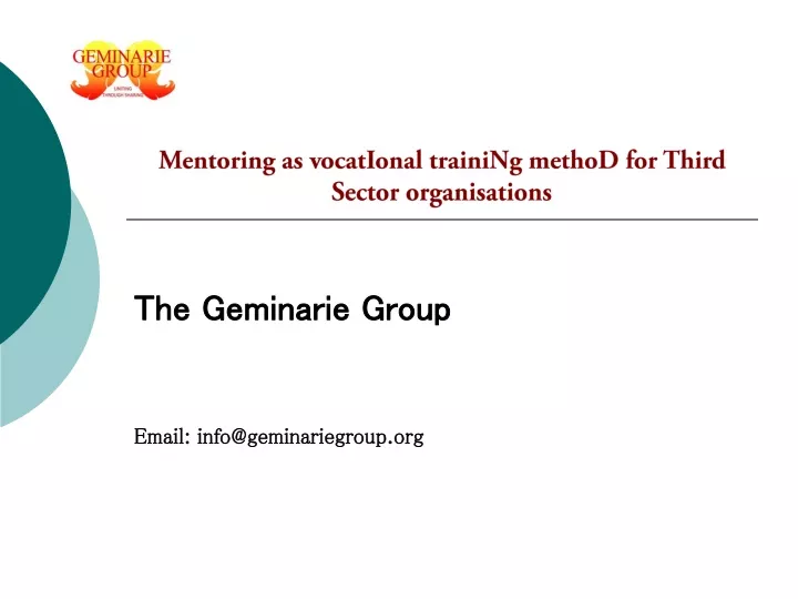 mentoring as vocational training method for third sector organisations