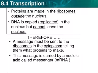 Proteins are made in the  ribosomes outside  the nucleus.