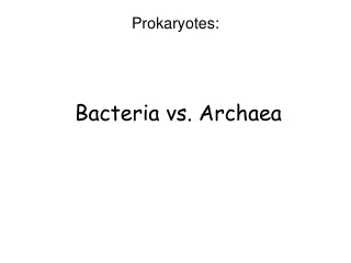 Bacteria vs. Archaea