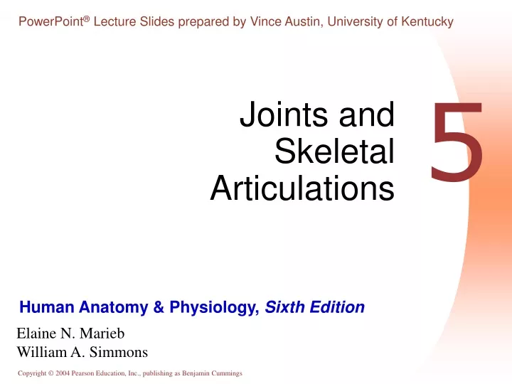 joints and skeletal articulations