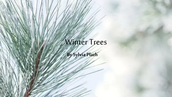 winter trees
