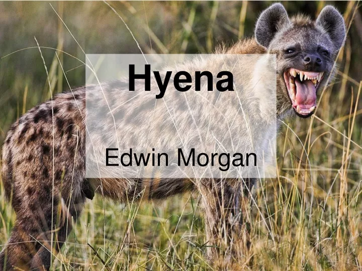 hyena edwin morgan