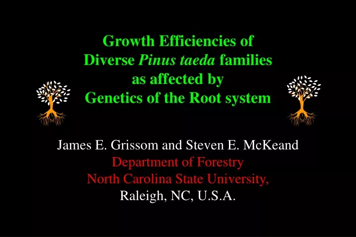 growth efficiencies of diverse pinus taeda families as affected by genetics of the root system