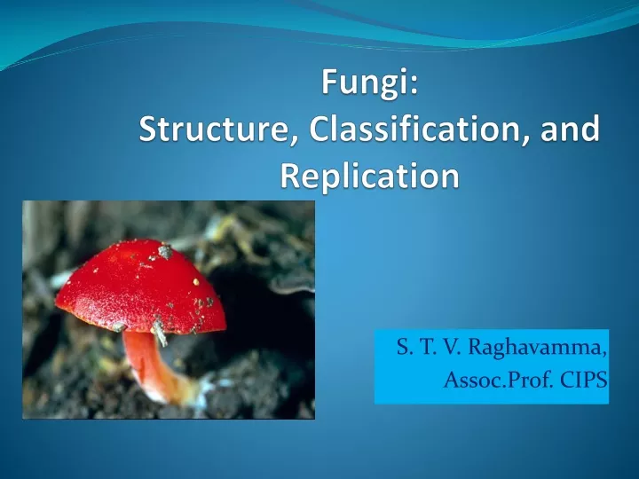 fungi structure classification and replication