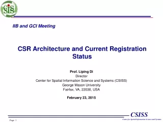 IIB and GCI Meeting CSR Architecture and Current Registration Status