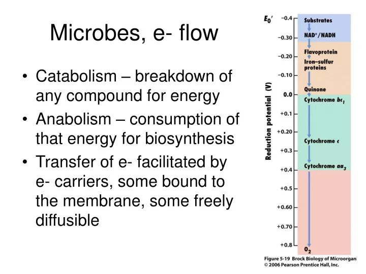 microbes e flow