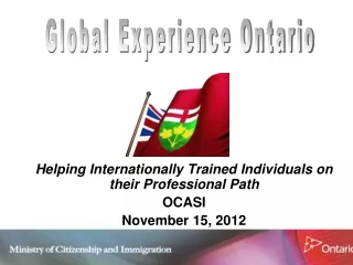 Helping Internationally Trained Individuals on their Professional Path OCASI  November 15, 2012