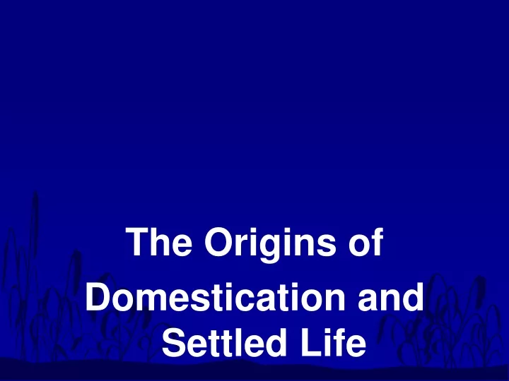 the origins of domestication and settled life