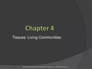 Tissues: Living Communities