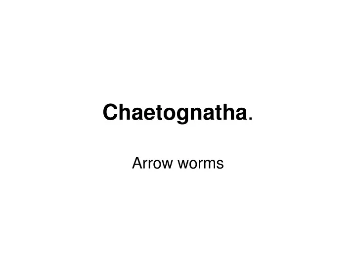 chaetognatha