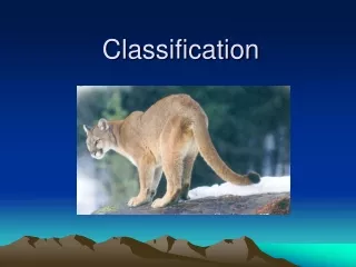 Classification