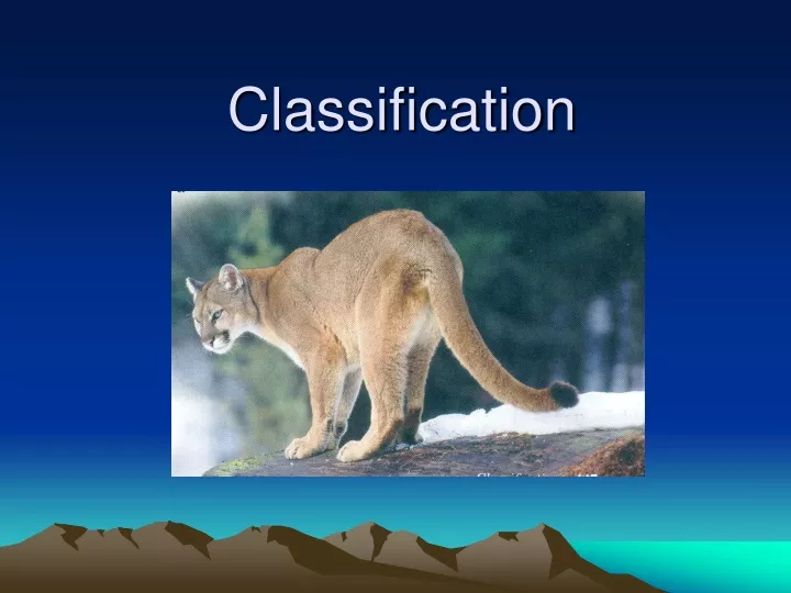 classification