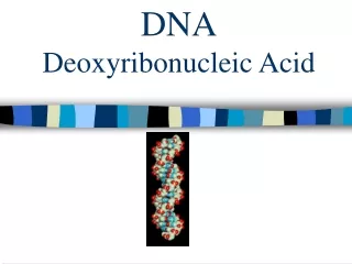 DNA Deoxyribonucleic Acid