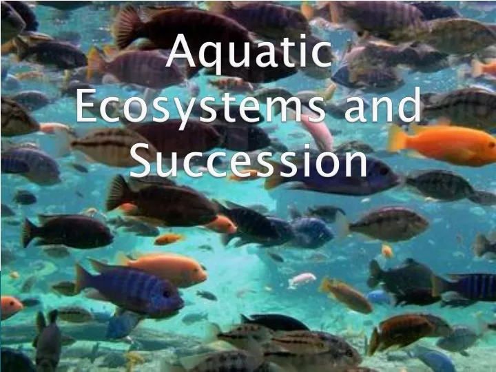 aquatic ecosystems and succession