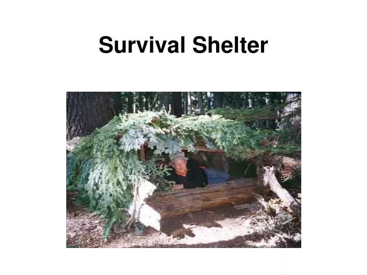 survival shelter