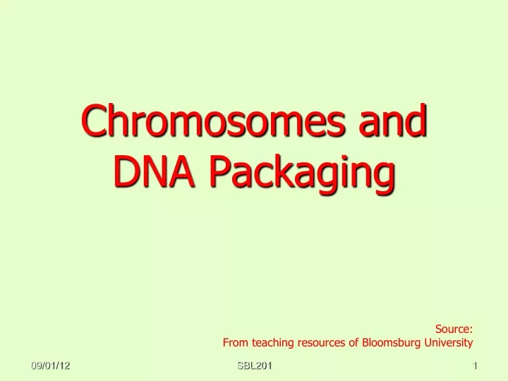 chromosomes and dna packaging