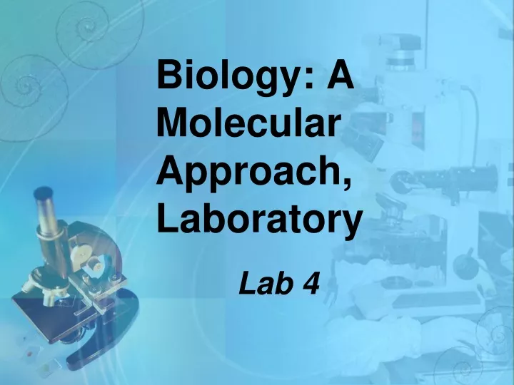 biology a molecular approach laboratory