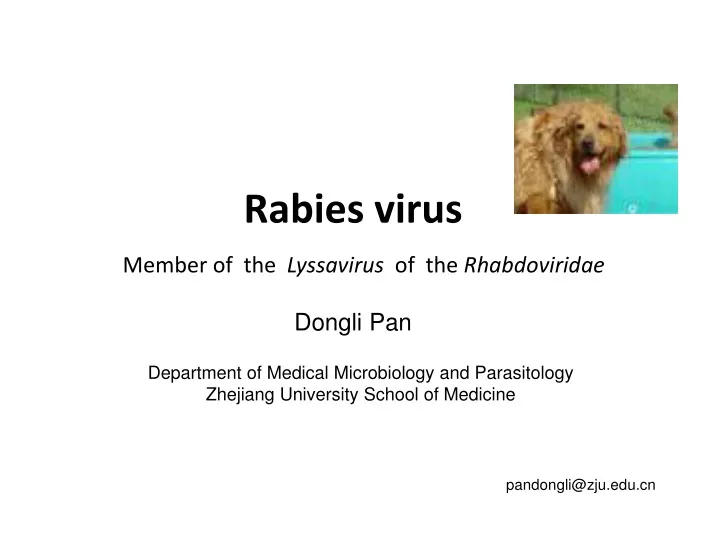 rabies virus