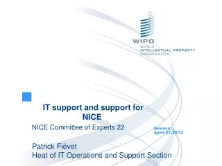 IT support and support for NICE NICE Committee of Experts 22