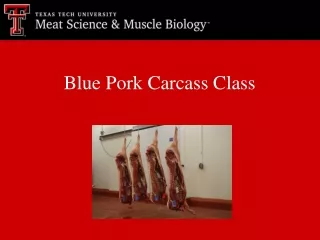 Blue Pork Carcass Class