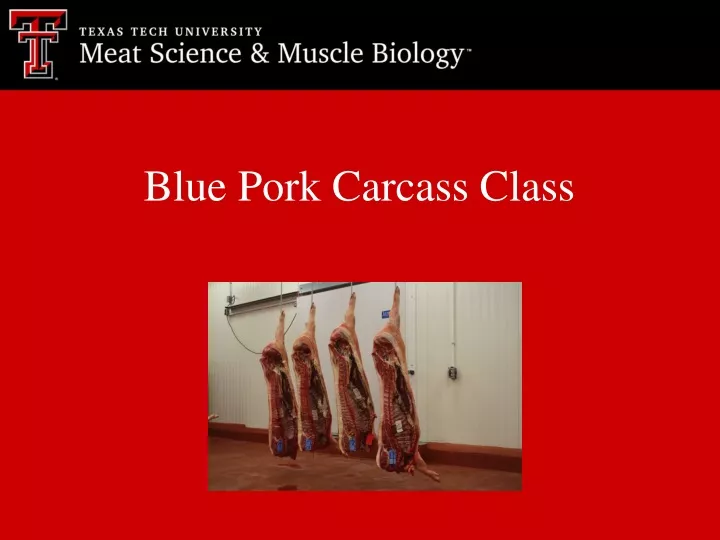 blue pork carcass class