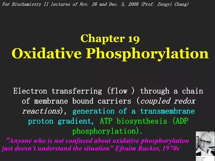 chapter 19 oxidative phosphorylation