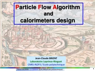 P article F low A lgorithm and calorimeters design