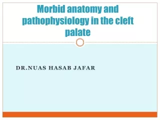 Morbid anatomy and pathophysiology in the cleft palate
