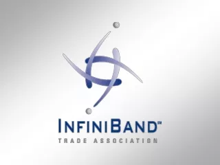 InfiniBand Routers