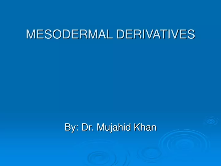 mesodermal derivatives