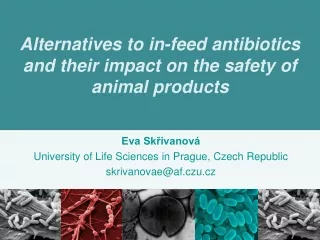 Alternatives to in-feed antibiotics and their impact on the safety of animal products