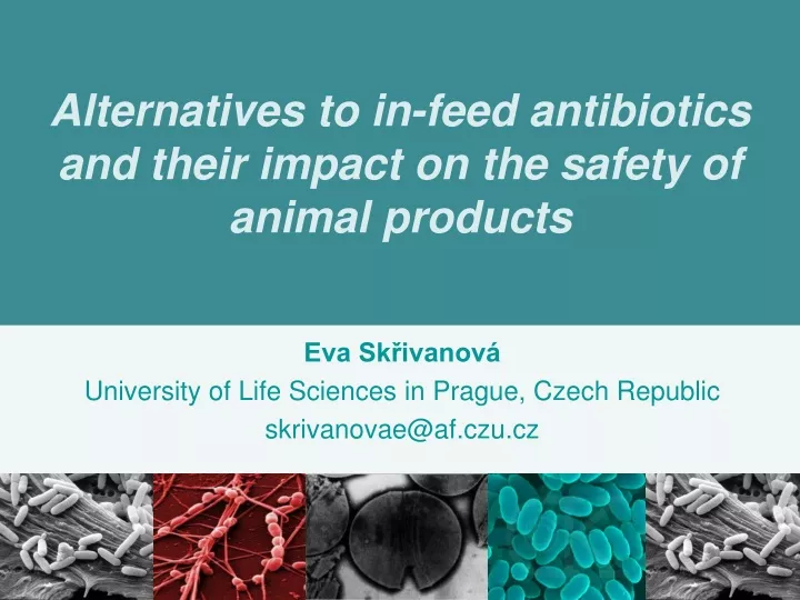 alternatives to in feed antibiotics and their impact on the safety of animal products