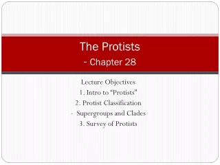 The Protists -  Chapter 28