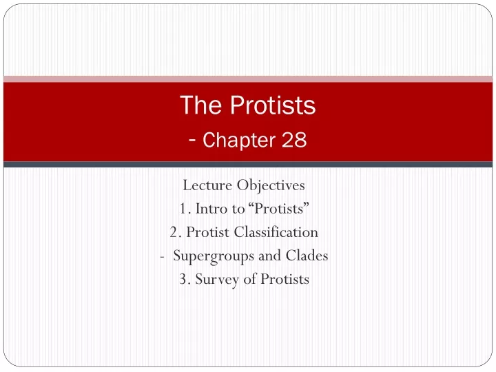 the protists chapter 28