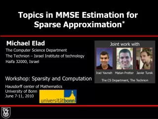 Topics in MMSE Estimation for     Sparse Approximation